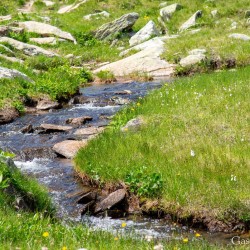Kristallklares Wasser am Weg vom oben zum unteren Bockhartsee