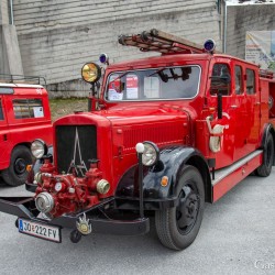 dsc_8598.jpg