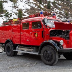 dsc_8623.jpg
