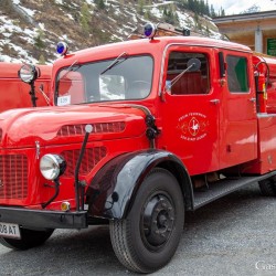 dsc_8700.jpg