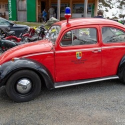 dsc_8717.jpg
