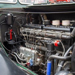 dsc_8777.jpg