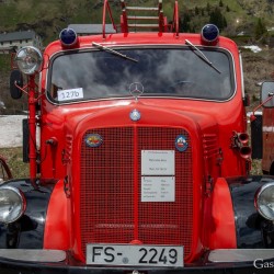 dsc_8821.jpg