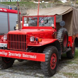 dsc_8828.jpg