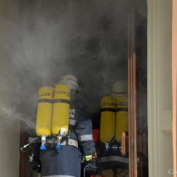 ff__dsc_9333.jpg
