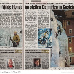 Kronen Zeitung am 01.02.2013