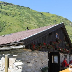 img_1659.jpg