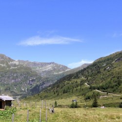 img_1664.jpg