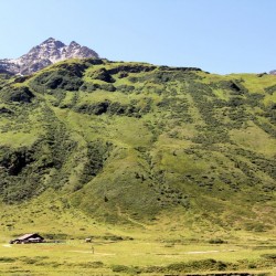 Veitbauernalm