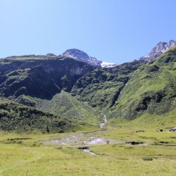 Pichleralm
