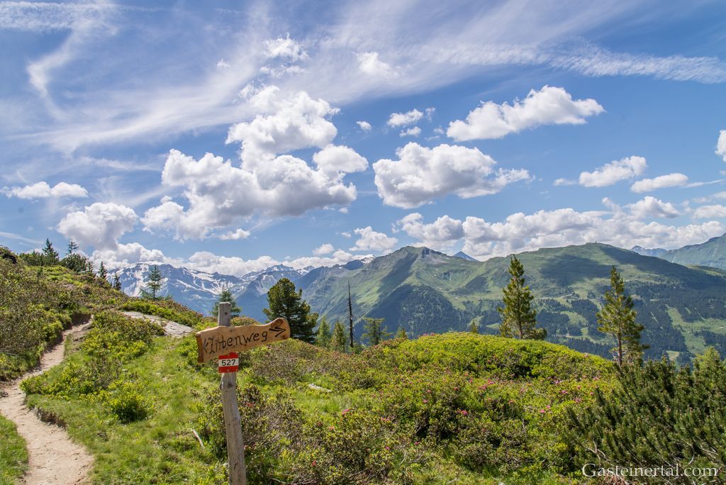 <Wanderweg im Zirbenwald in Bad Gastein