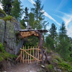 Wanderweg im Zirbenwald in Bad Gastein