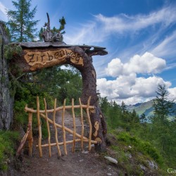 Wanderweg im Zirbenwald in Bad Gastein