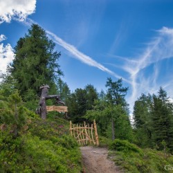 Wanderweg im Zirbenwald in Bad Gastein