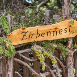 Wanderweg im Zirbenwald in Bad Gastein