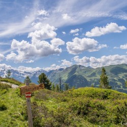 Wanderweg im Zirbenwald in Bad Gastein