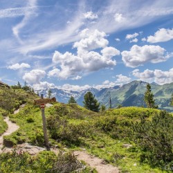 Wanderweg im Zirbenwald in Bad Gastein