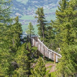 Wanderweg im Zirbenwald in Bad Gastein