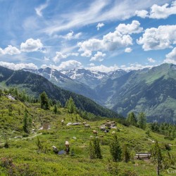 Wanderweg im Zirbenwald in Bad Gastein