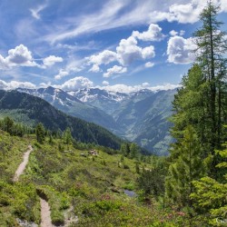 Wanderweg im Zirbenwald in Bad Gastein