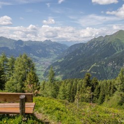 Wanderweg im Zirbenwald in Bad Gastein