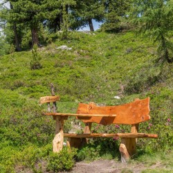 Wanderweg im Zirbenwald in Bad Gastein