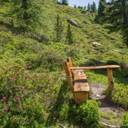 Wanderweg im Zirbenwald in Bad Gastein