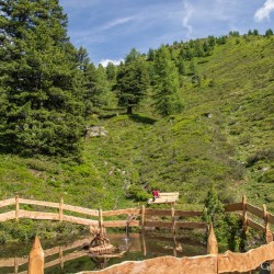 Wanderweg im Zirbenwald in Bad Gastein