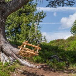 Wanderweg im Zirbenwald in Bad Gastein