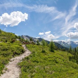 Wanderweg im Zirbenwald in Bad Gastein