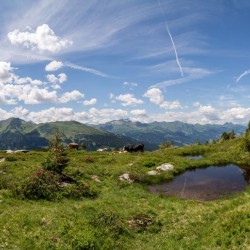 Wanderweg im Zirbenwald in Bad Gastein