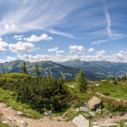 Wanderweg im Zirbenwald in Bad Gastein