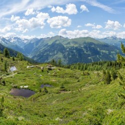 Wanderweg im Zirbenwald in Bad Gastein