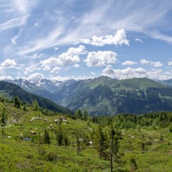 Wanderweg im Zirbenwald in Bad Gastein