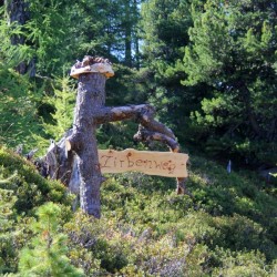 Zirbenweg Badgastein