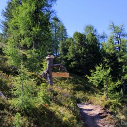 Start Zirbenweg