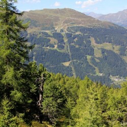 Blick zum Stubnerkogel