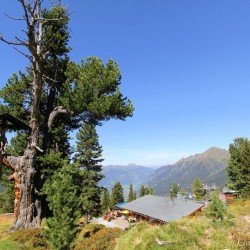 Hergottzirbe und Graukogelhütte