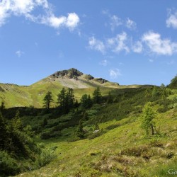 Blick von der Zittraueralm