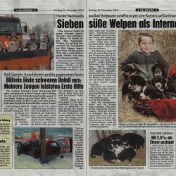 krone311210.jpg