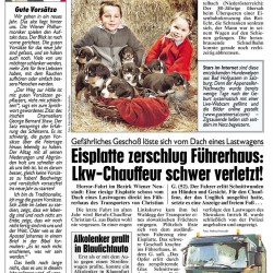 Bericht in der Krone österreichweit am 1.1.11