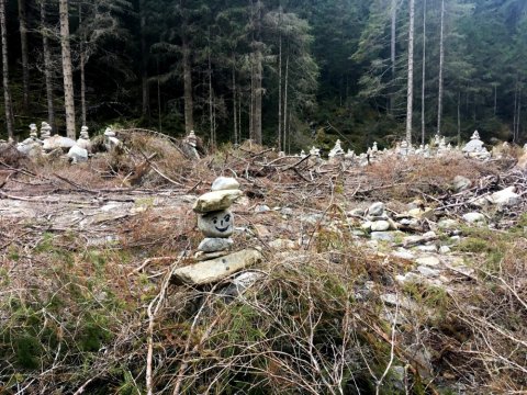Stoamandl in der Prossau