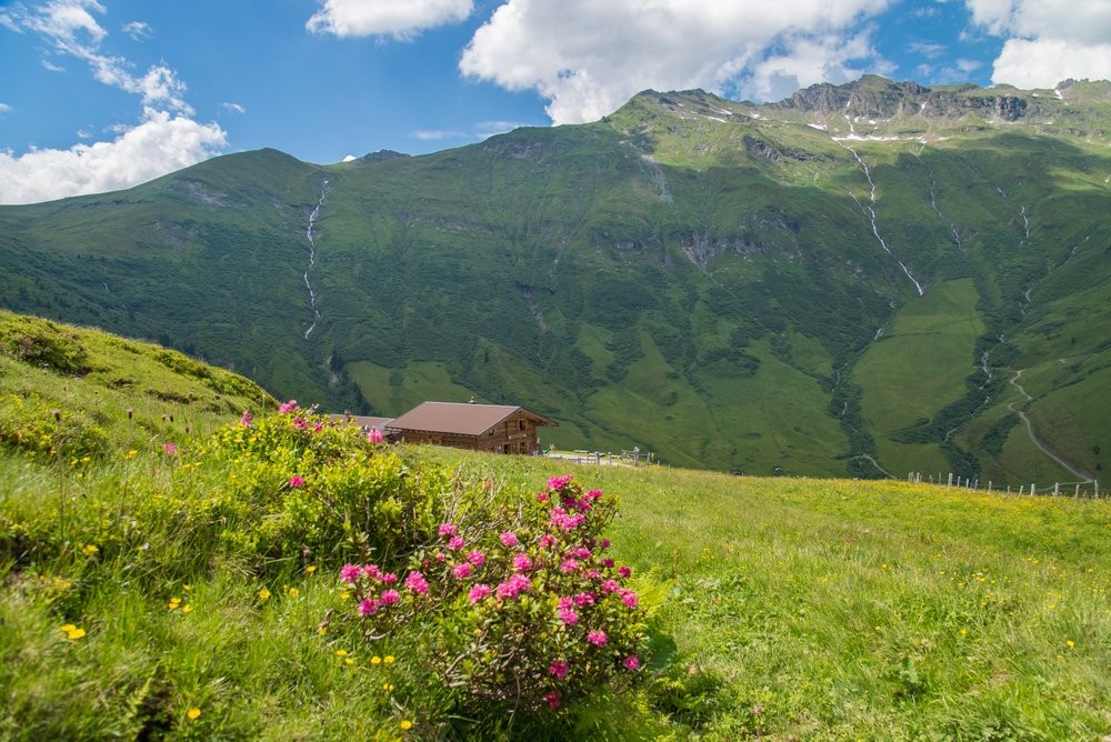 Almsommer und Alpentherme Erlebnis - Super fr Kinder