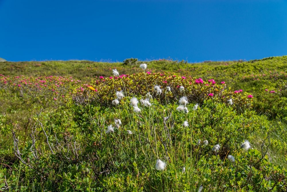 Hauserbauer Wanderwoche