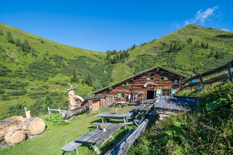 Almluft schnuppern & Wandergenuss