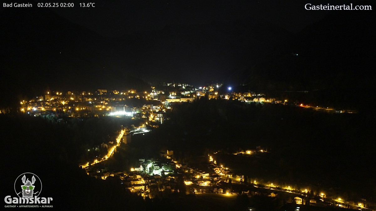 Webcam Ktschachtal - Grner Baum